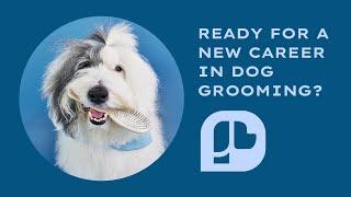 Train With Us | Paragon School of Pet Grooming