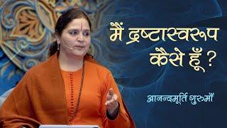 मैं द्रष्टास्वरूप कैसे हूँ? | Anandmurti Gurumaa