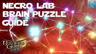 How to Solve the Necrotic Laboratory Puzzle Walkthrough, How to Complete the Necrotic Brain Puzzle