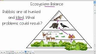 Ecosystem Balance Problems