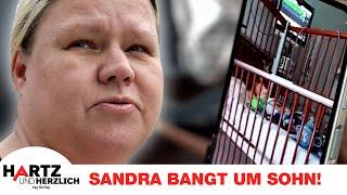 Große Sorge um Söhnchen Dave: Sandra bangt im Krankenhaus! | Hartz und herzlich - Tag für Tag #487