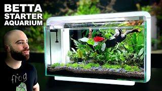 The Budget BETTA Setup You Cannot Miss!