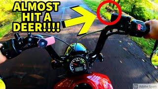 CLOSE CALL! Almost hit TWO DEER! | Secret Reveal Video | (Indian Scout Bobber)