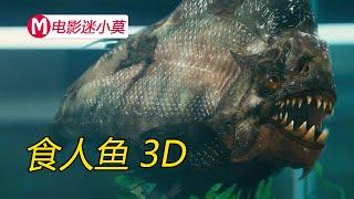 海底发生地震，释放了200万年前的远古食人鱼，游客们太惨了，速看惊悚科幻片《食人鱼3D》，血腥程度我只服这部电影