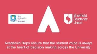 Academic Reps at the University of Sheffield