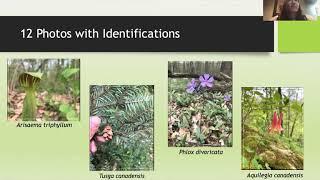 Field Botany Online