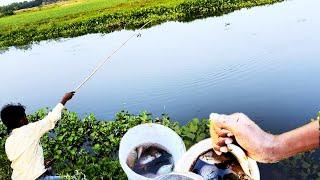 Traditional Bait Fishing Methods with a bamboo stick, hook, and wheat flour in a village river