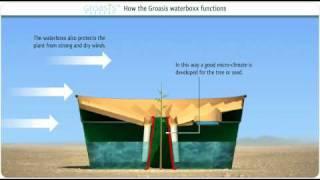 How does the Groasis Waterboxx plant cocoon work against desertification?