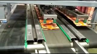 Strip Packaging: Secondary Packaging Machine for Strip of Pouches