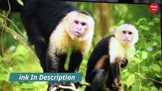 2160 4K Video Ultra HD Crystal TV Demo 2022 | Samsung TV Demo Video | VR 360 Video | Multi Info