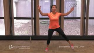 Low-Intensity Standing Cardio Work Out - The Great Slim Down