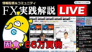 FX実践解説、TEAMハロンズ「週末５回食べたモノ？66万円で購入したモノ？ 」（2025年5月19日)