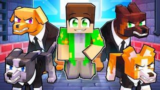 Jakey este *PROTEJAT* de Caini de Protectie in Minecraft!