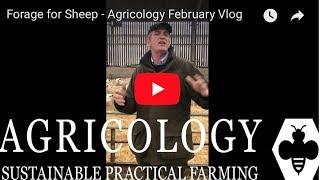 Forage for Sheep - Agricology January Vlog