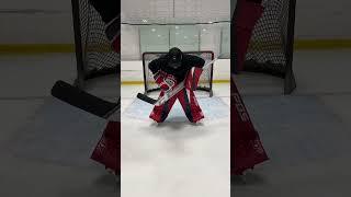 The fastest goalie on the internet