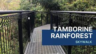 Tamborine Rainforest Skywalk // Mount Tamborine