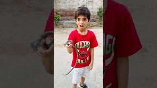 saim ki her chez lyli saim gussa ho gay#shorts #funnyshorts