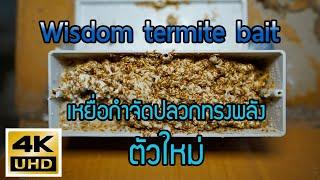 Wisdom termite bait เหยื่อกำจัดปลวกทรงพลังตัวใหม่ล่าสุด เทคโนโลยีจากเยอรมัน