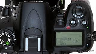 Nikon DSLR Tutorial - Using the autofocus modes