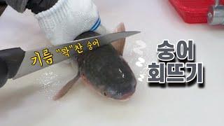 "고소한" 숭어회뜨기 sashimi