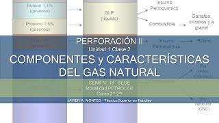 COMPONENTES Y CARACTERÍSTICAS DEL GAS NATURAL