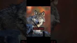 Wolf Now vs Wolf Then #mythology #norsemyth #greekmythology #fenrir #lycaon #ytshorts