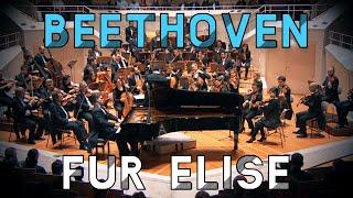 Beethoven - Für Elise - Berliner Philharmonie | Piano & Orchestra