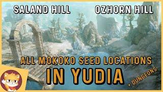 Where To Find All Mokoko Seeds in Yudia | Lost Ark Mokoko seed locations