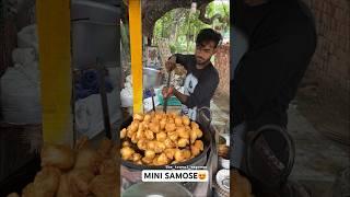 MINI SAMOSE | Indian street food #shorts