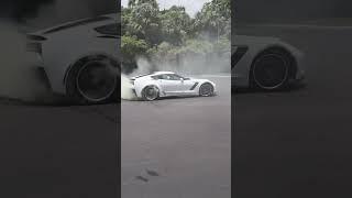 Hawk tuah on a corvette #z06corvette #automobile #hoonigan #chevy