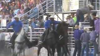 World champ Will Lowe on a Beutler and Son horse