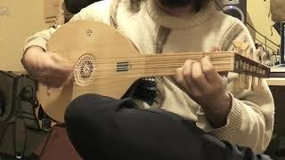 Medieval Lute (XV century)