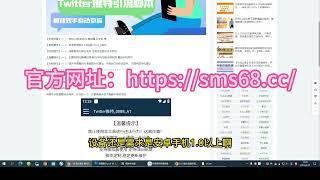 【引流必备】国外Twitter推特平台引流脚本，解放双手自动引流【脚本+引流教程】#twitter #Twitter引流