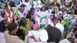 Best 2024 Eritrean Wedding in New Zealand /Part 1/