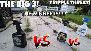 ROUNDUP VS ORTHO VS SPECTRACIDE THE BIG 3 VS BATTLE!!!!