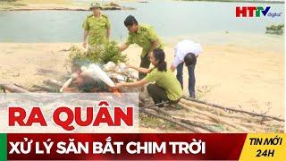 Thạch Hà xử lý săn bắt chim trời | Hà Tĩnh TV