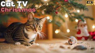 Cat TV: Christmas Mouse Playing in Sand & Hide & Seek in 4K!