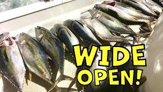 WIDE OPEN SoCal Tuna Fishing [Pride Sportfishing]