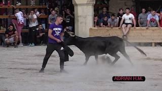 Videoclip DVD Bous Adrián Hernández Marí 2019 1ª Parte 2º DVD