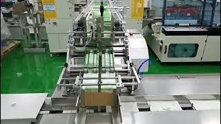 Feeding Package Line | Friction Feeder With Horizontal Packing Machine Auto Batch Counting