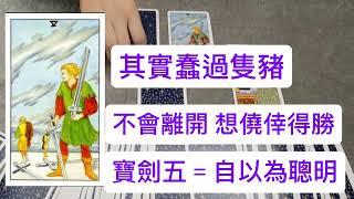 塔羅問事：河馬的衰運月