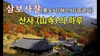 삼보사찰 #통도사/해인사/송광사 #산사(山寺)의 하루 #a day of temple