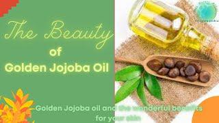 THE BEAUTY OF  GOLDEN JOJOBA OIL AND THE WONDERFUL BENEFIT FOR YOUR SKIN