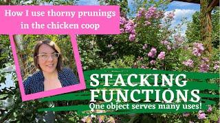 August: Prune Rambling Roses!  How to Use Thorny Rose Prunings on the Homestead (Stacking Functions)