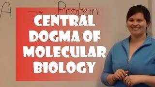 Central Dogma of Molecular Biology