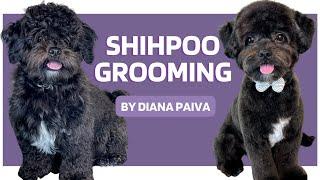 Shihpoo Dog Grooming tips - Dica de tosa