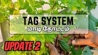 டேக் சிஸ்டம் (TAG SYSTEM) - மாடி தோட்டம் - UPDATE 2 - TRIPLE VLOGGERS LATHA TERRACE GARDENING TAMIL