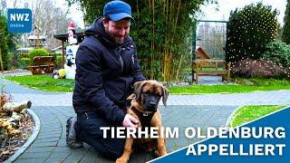 Tiere sind keine Weihnachtsgeschenke