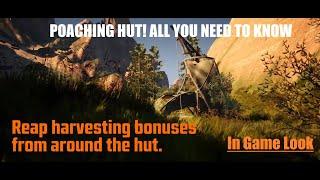 Last Oasis - The Poaching Hut & All You Need To Know About It!