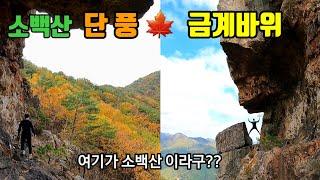 소백산  금계바위 / 여기가 소백산이라구??/ 상상 그 이상을 보고 싶으세요?/ 암릉과 단풍/ 거북바위/촛대바위/금계릿지